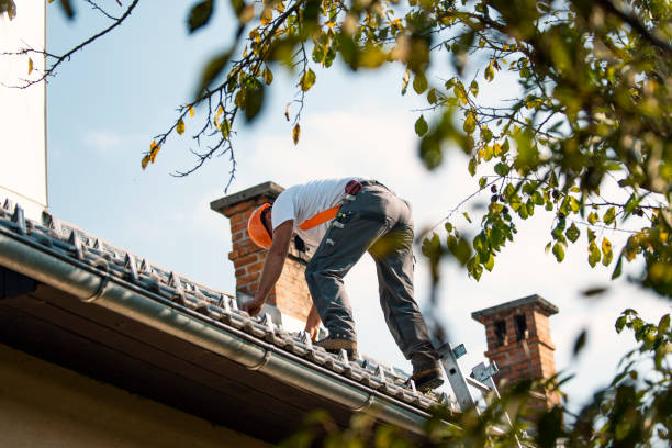 Roof Insulation in Alamosa East, CO
