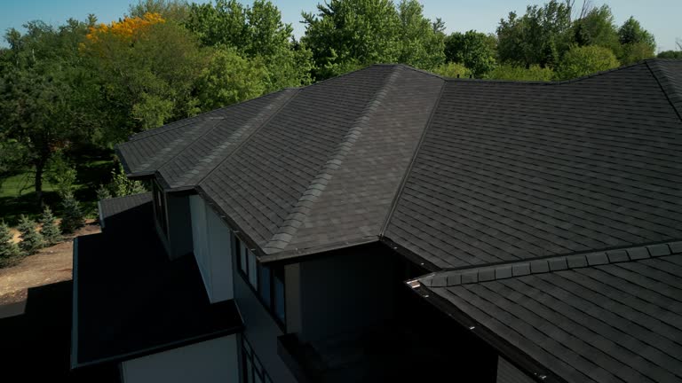 Best Sheet Metal Roofing  in Alamosa East, CO