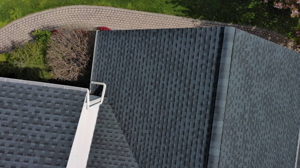 Best Slate Roofing  in Alamosa East, CO
